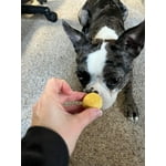 Image 7 of customer photos