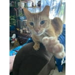 Image 3 of customer photos