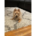 Image 3 of customer photos