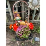 Image 4 of customer photos