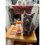 Image 6 of customer photos