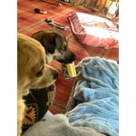 Image 5 of customer photos