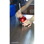 Image 4 of customer photos