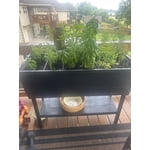 Image 2 of customer photos