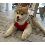 Image 7 of customer photos