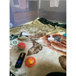 Image 4 of customer photos