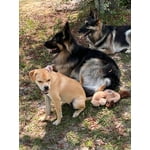 Image 4 of customer photos