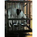 Image 5 of customer photos