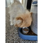 Image 7 of customer photos