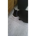 Image 3 of customer photos