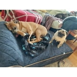 Image 7 of customer photos