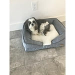 Image 1 of customer photos