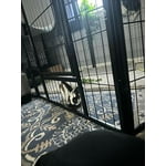 Image 5 of customer photos