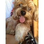 Imagen 1 de las fotos del cliente