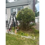 Image 3 of customer photos