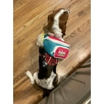 Image 4 of customer photos