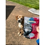 Image 5 of customer photos