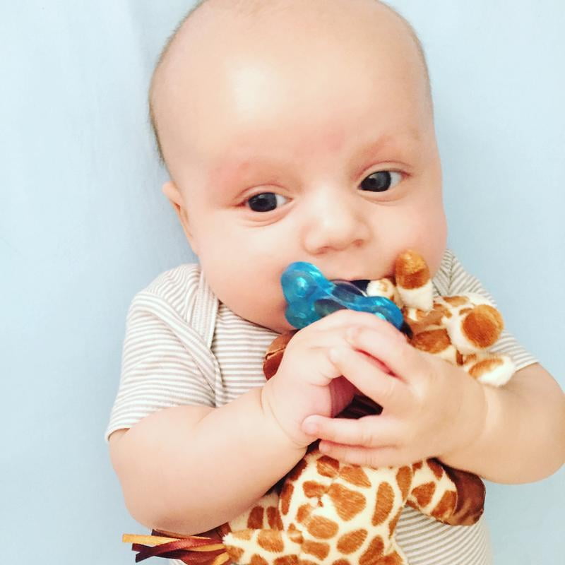 dr brown's giraffe teether