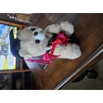 Image 2 of customer photos