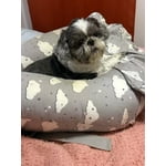 Image 2 of customer photos