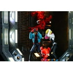 Image 5 of customer photos