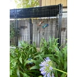 Image 4 of customer photos