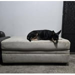 Image 1 of customer photos