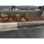 Image 8 of customer photos