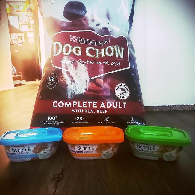 pure balance bison dog food Natural Balance Limited Ingredient Reserve Grain Free Sweet Potato & Bison  Recipe Dry Dog Formula - Serving NY - NJ