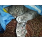 Image 7 of customer photos