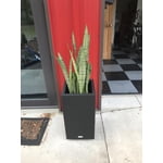 Image 7 of customer photos