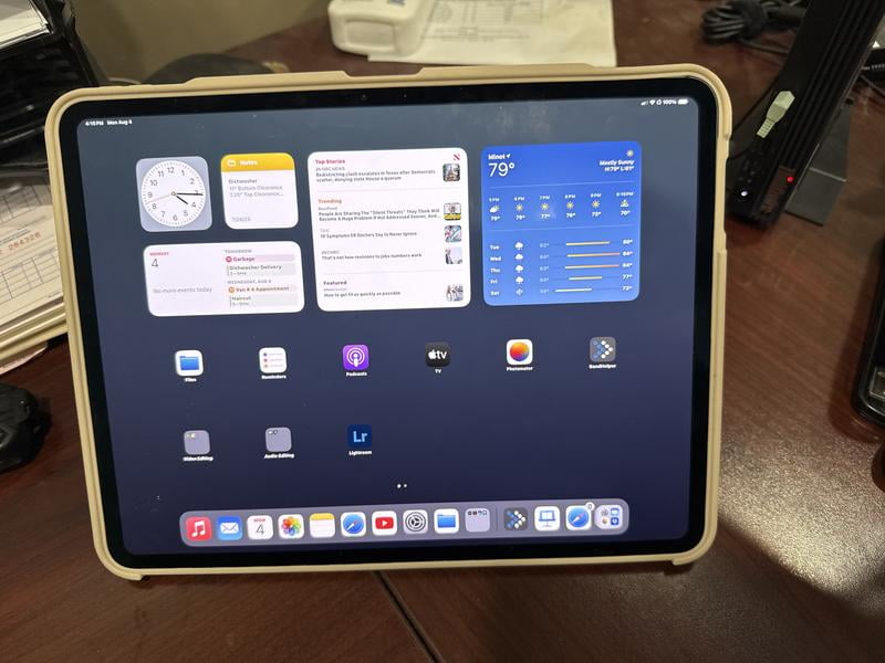 Apple 13