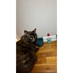 Image 7 of customer photos