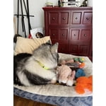 Image 6 of customer photos