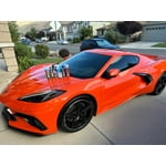 Image 7 of customer photos