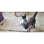 Image 1 of customer photos