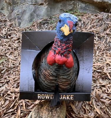 Mossy Oak Rowdy Jake Strut Turkey Decoy - Walmart.com