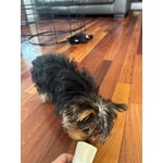 Image 7 of customer photos