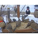 Image 1 of customer photos