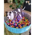 Image 3 of customer photos