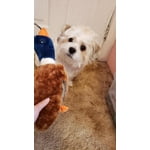 Image 5 of customer photos