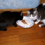 Image 6 of customer photos