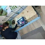 Image 1 of customer photos