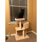 Image 2 of customer photos