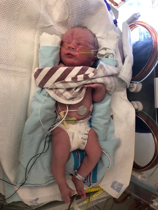 owlet baby monitor walmart