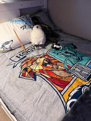 Housse Couette Housse De Couette Harry Potter 3 Pièces avec 2 Taie