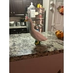 Image 6 of customer photos