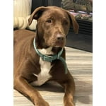 Image 2 of customer photos