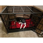 Image 5 of customer photos