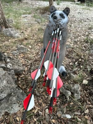 Bloodsport Hunter Extreme Carbon Arrows with Blood Ring, 6 pack